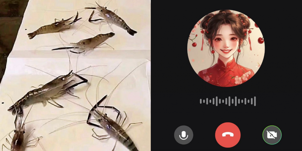 实测商汤实时音视频交互模型5o:“造假”齐白石《虾》一眼识破!