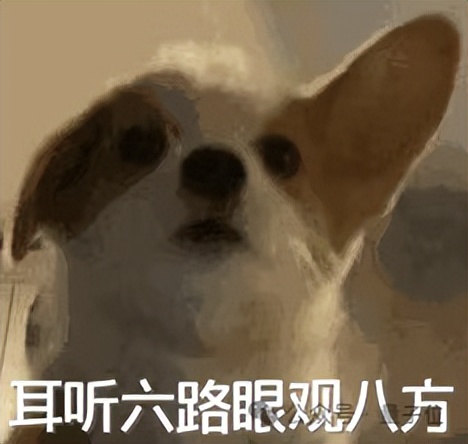 7B模型搞定AI视频通话，阿里最新开源炸场，看听说写全模态打通，开发者企业免费商用